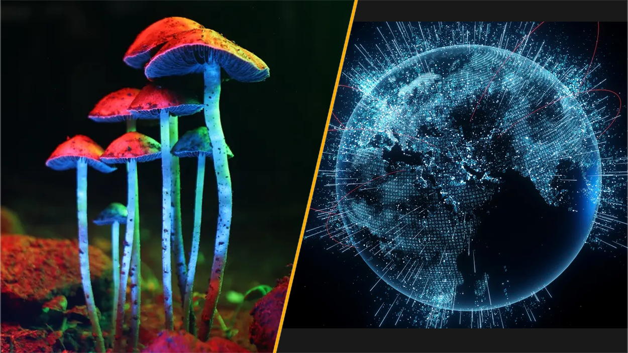 Split image of magic mushrooms and an artist&#039;s impression of the internet, showing the globe drawn up in a futuristic neon blue
